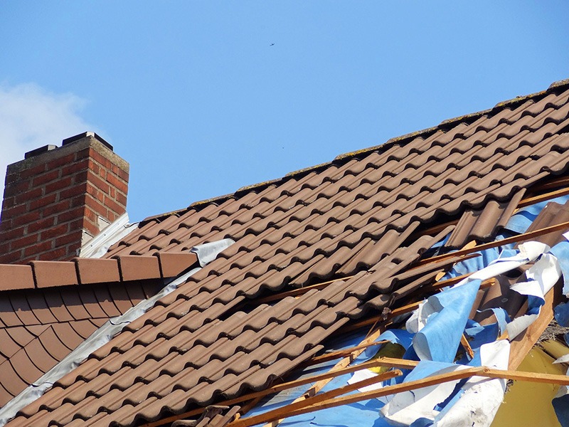 Professional roof repair services